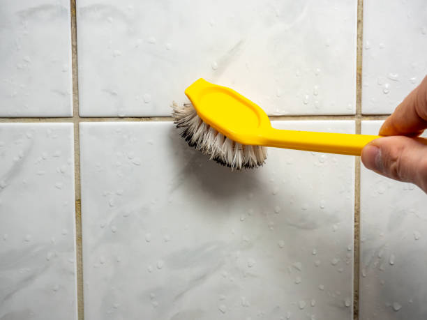 Best Same-Day Mold Removal  in Tyndall, SD