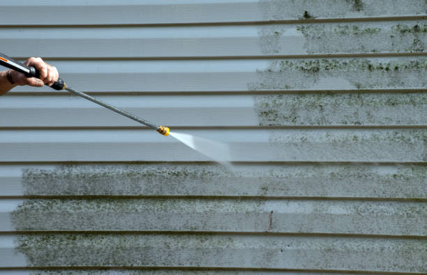 Professional Mold Removal in Tyndall, SD